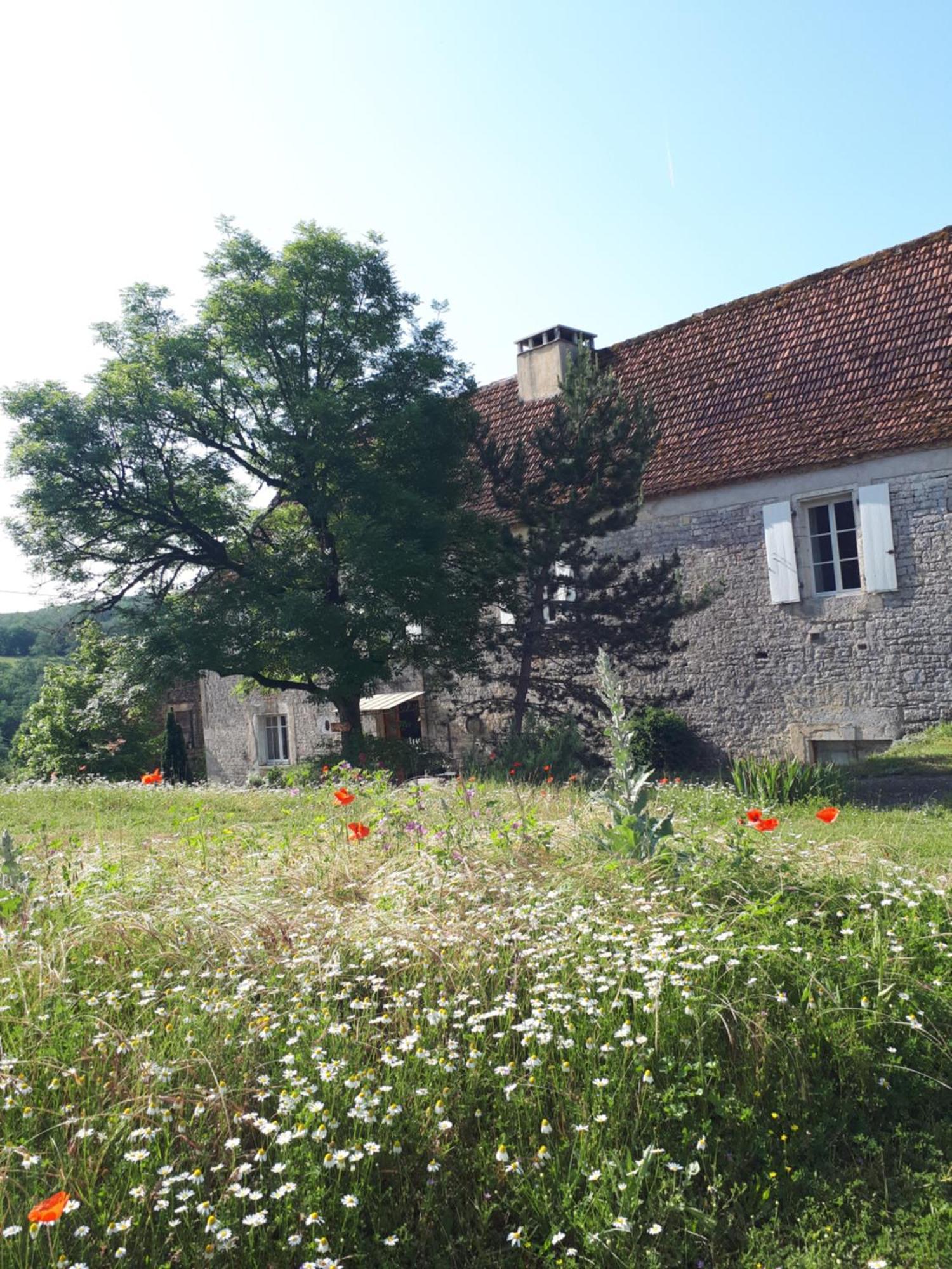 Отель La Ferme De Roquedure Montfaucon  Экстерьер фото
